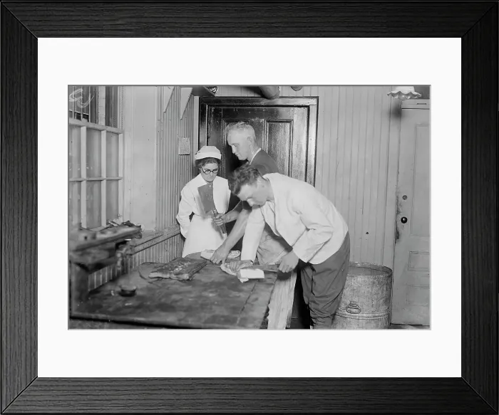 Framed Print : Cooking class, Gladys Kierstead, 13 Aug 1917. Creator: Bain News Service Framed Print : Cooking class, Gladys Kierstead, 13 Aug 1917. Creator: Bain News Service