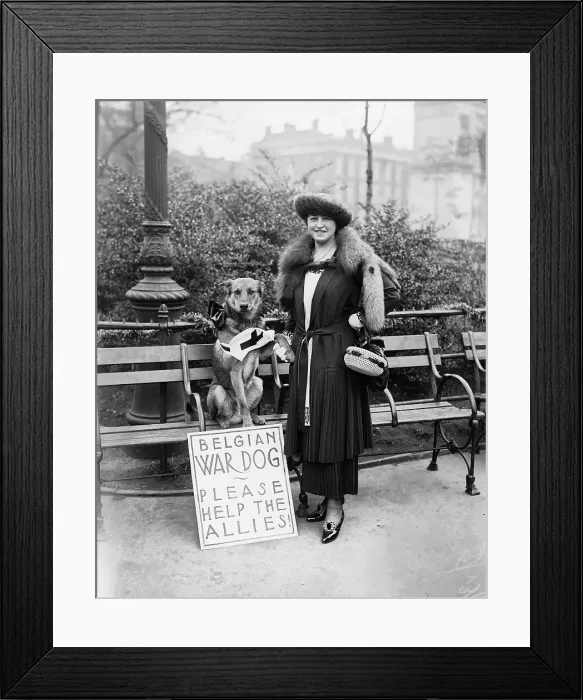 Framed Print : Mrs. N.E. Green & Caesar, between c1915 and 1918. Creator: Bain News Service. Mrs. N.E. Green & Caesar, between c1915 and 1918. Creator: Bain News Service Framed Print : Mrs. N.E. Green & Caesar, between c1915 and 1918. Creator: Bain News Service. Mrs. N.E. Green & Caesar, between c1915 and 1918. Creator: Bain News Service
