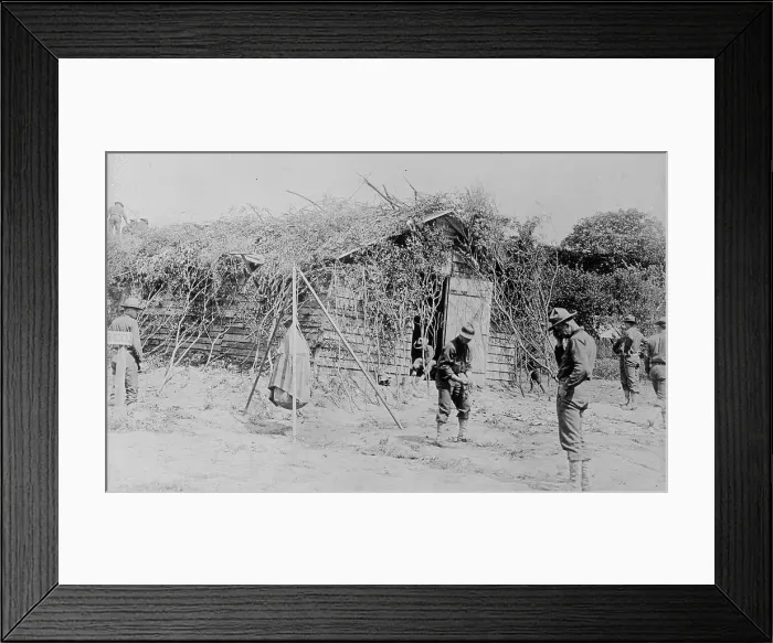 Framed Print : Camouflaged home of marines in France, 21 May 1918. Creator: Bain News Service Framed Print : Camouflaged home of marines in France, 21 May 1918. Creator: Bain News Service