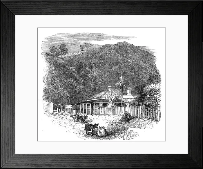 Framed Print : Views at the Seat of the War in New Zealand: settler's house at Waikato, 1864. Creator: Unknown Framed Print : Views at the Seat of the War in New Zealand: settler's house at Waikato, 1864. Creator: Unknown