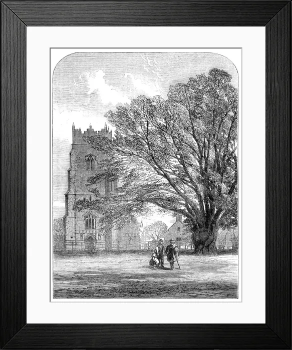 Framed Print : Helmingham Church, Suffolk, 1864. Creator: Unknown Framed Print : Helmingham Church, Suffolk, 1864. Creator: Unknown