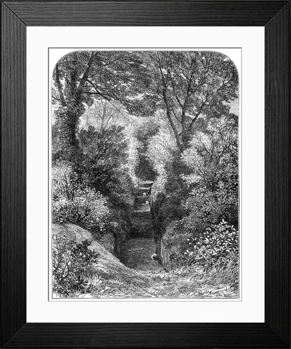 Framed Print : Excavations of an ancient cemetery at Helmingham, 1864. Creator: Unknown Framed Print : Excavations of an ancient cemetery at Helmingham, 1864. Creator: Unknown