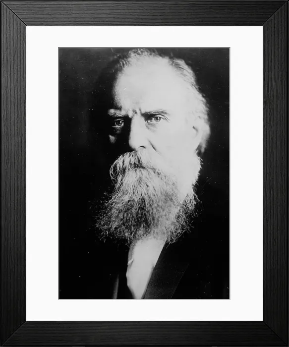 Framed Print : N. Tcaikowsky, between c1915 and c1920. Creator: Bain News Service Framed Print : N. Tcaikowsky, between c1915 and c1920. Creator: Bain News Service