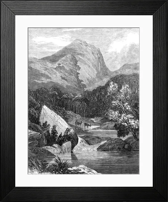 Framed Print : In a Brazilian forest: waiting for a shot, 1864. Creator: Unknown Framed Print : In a Brazilian forest: waiting for a shot, 1864. Creator: Unknown