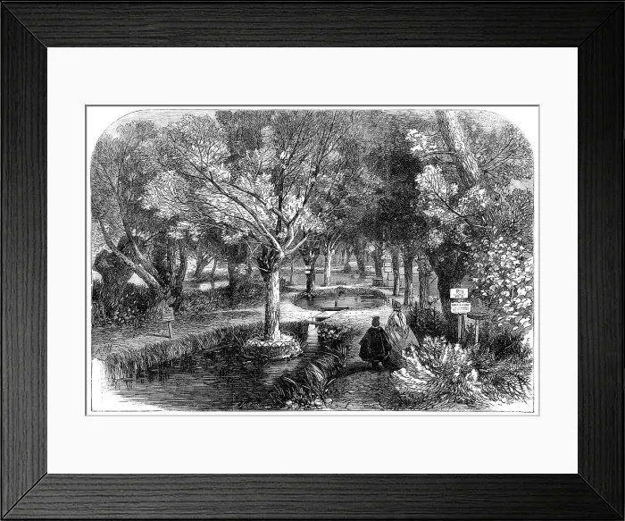 Framed Print : Experimenting ponds at the Huningue Fish Nurseries, France, 1864. Creator: Mason Jackson