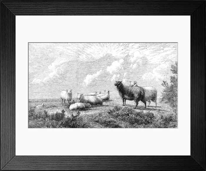 Framed Print : Summer, by T. W. Keyl, in the exhibition of the British Institution, 1864. Creator: Pearson. Summer, by T. W. Keyl, in the exhibition of the British Institution, 1864. Creator: Pearson Framed Print : Summer, by T. W. Keyl, in the exhibition of the British Institution, 1864. Creator: Pearson. Summer, by T. W. Keyl, in the exhibition of the British Institution, 1864. Creator: Pearson