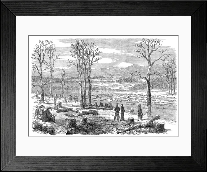 Framed Print : The War in America: winter quarters of the left wing of the Confederate Army on the Rapidan... 1864 Creator: Unknown Framed Print : The War in America: winter quarters of the left wing of the Confederate Army on the Rapidan... 1864 Creator: Unknown