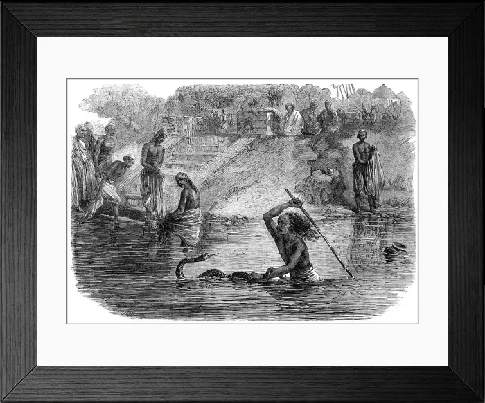 Framed Print : Hindoo bathers in the River Jumna surprised by a snake, 1864. Creator: J. A. B Framed Print : Hindoo bathers in the River Jumna surprised by a snake, 1864. Creator: J. A. B