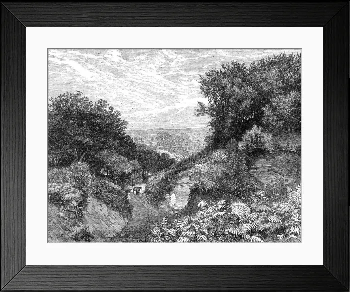 Framed Print : The Turner Gold Medal Prize Landscape, by F. Walton, 1864. Creator: Mason Jackson Framed Print : The Turner Gold Medal Prize Landscape, by F. Walton, 1864. Creator: Mason Jackson