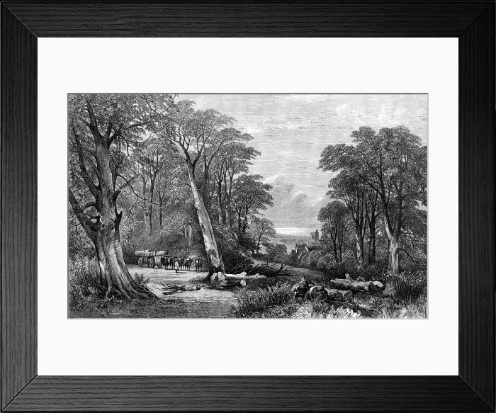 Framed Print : The Woods in Autumn, by Henry Jutsum, in the Exhibition of the British Institution, 1864. Creator: Unknown Framed Print : The Woods in Autumn, by Henry Jutsum, in the Exhibition of the British Institution, 1864. Creator: Unknown