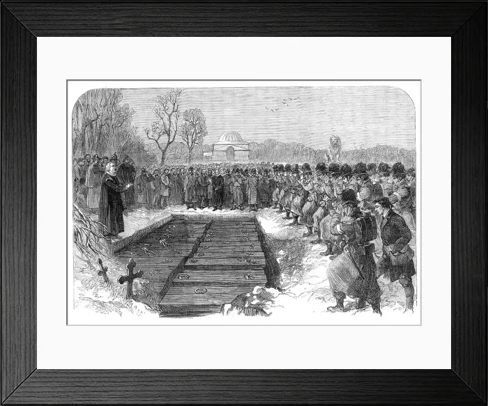 Framed Print : The War in Schleswig: burial of sixty Austrian and Danish soldiers at Flensburg... 1864. Creator: Unknown Framed Print : The War in Schleswig: burial of sixty Austrian and Danish soldiers at Flensburg... 1864. Creator: Unknown