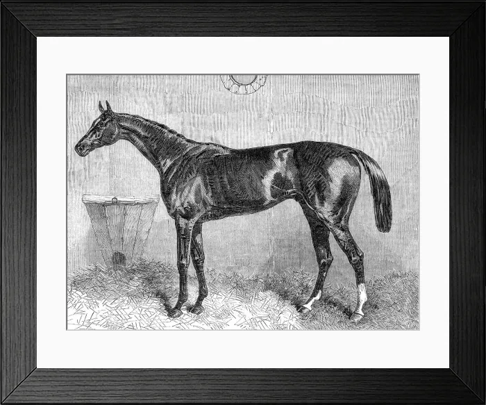 Framed Print : General Peel, the winner of the Two Thousand Guineas at the Newmarket Spring Meeting, 1864. Creator: Unknown Framed Print : General Peel, the winner of the Two Thousand Guineas at the Newmarket Spring Meeting, 1864. Creator: Unknown
