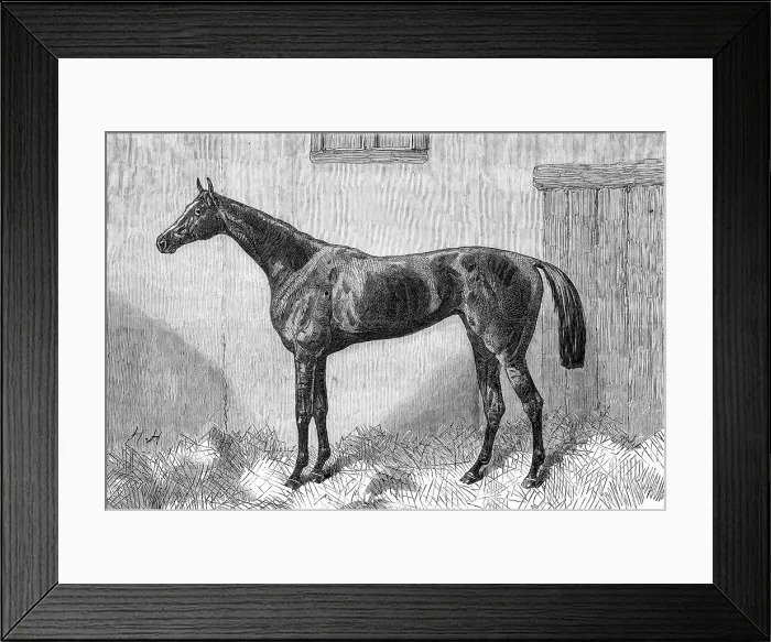 Framed Print : Fille de l'Air, the Winner of the Oaks, 1864. Creator: Unknown Framed Print : Fille de l'Air, the Winner of the Oaks, 1864. Creator: Unknown