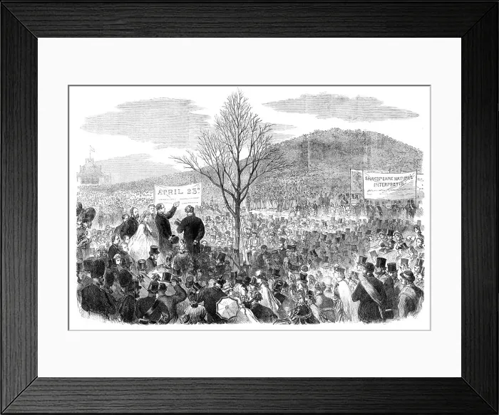Framed Print : The Shakspeare Commemoration in London: planting an oak on Primrose Hill, 1864. Creator: Unknown Framed Print : The Shakspeare Commemoration in London: planting an oak on Primrose Hill, 1864. Creator: Unknown