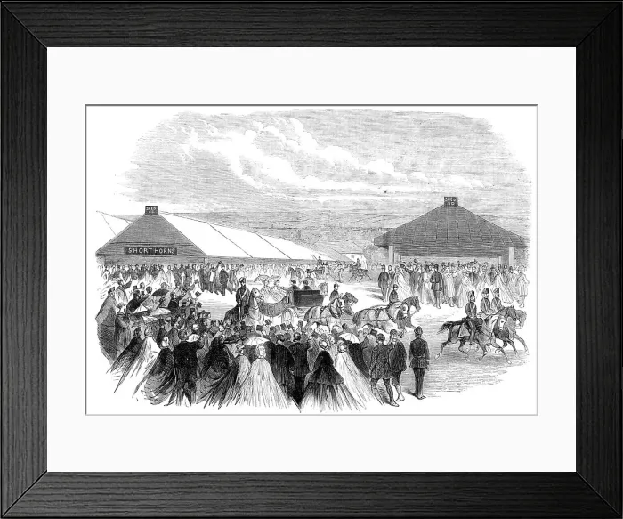 Framed Print : Visit of the Prince and Princess of Wales to Plymouth:Showyard, Royal Agricultural Society, 1865 Creator: Unknown Framed Print : Visit of the Prince and Princess of Wales to Plymouth:Showyard, Royal Agricultural Society, 1865 Creator: Unknown