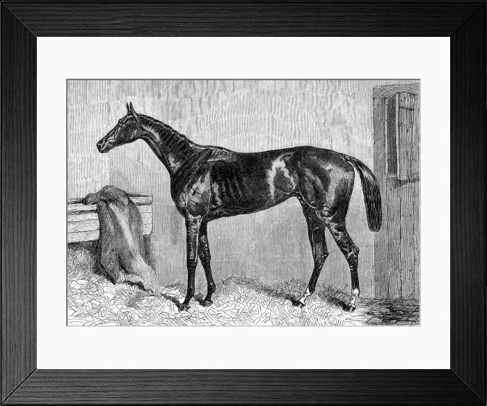 Framed Print : Ascot Races: Scottish Chief, winner of the Ascot Cup, 1864. Creator: Unknown