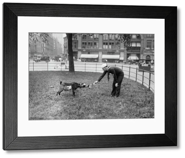 Framed Print : W.J. Reilly, 1917 or 1918. Creator: Bain News Service Framed Print : W.J. Reilly, 1917 or 1918. Creator: Bain News Service