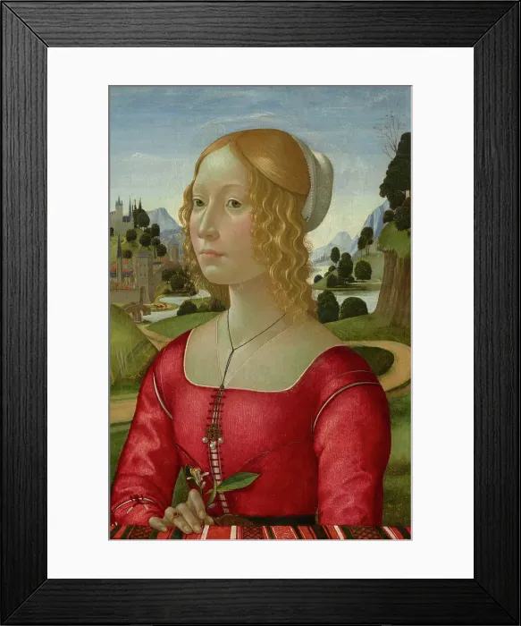Framed Print : Portrait Of A Lady, c1490. Creator: Domenico Ghirlandaio Framed Print : Portrait Of A Lady, c1490. Creator: Domenico Ghirlandaio