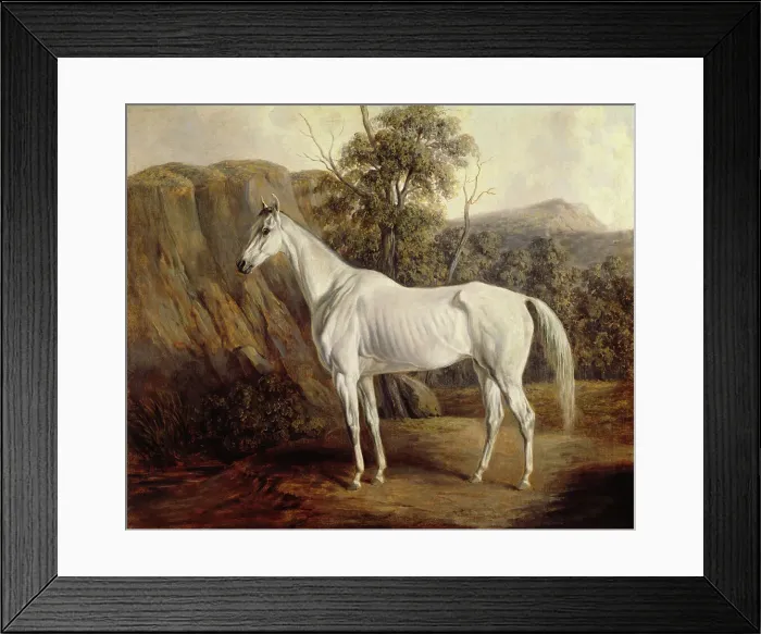 Framed Print : Bolivia, 1836. Creator: Edward Troye Framed Print : Bolivia, 1836. Creator: Edward Troye