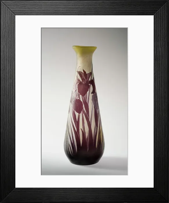 Framed Print : Cameo Vase, c1900-15. Creator: Emile Gallé Framed Print : Cameo Vase, c1900-15. Creator: Emile Gallé