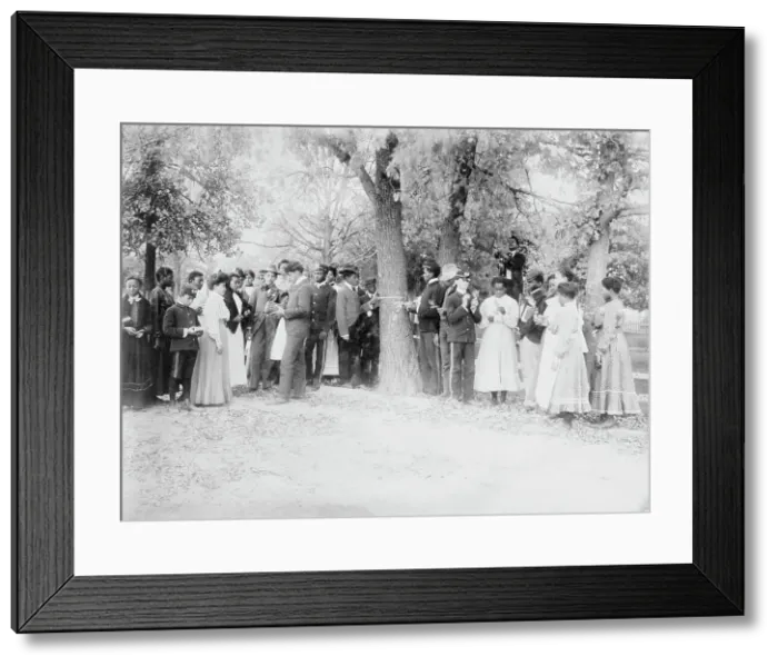 Framed Print : Studying botany, Tuskegee, between c1910 and c1915. Creator: Bain News Service Framed Print : Studying botany, Tuskegee, between c1910 and c1915. Creator: Bain News Service