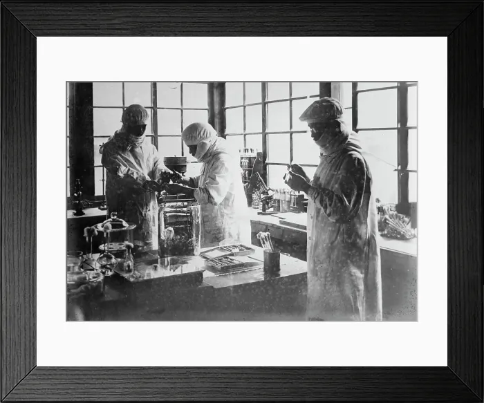 Framed Print : Japan - Injecting pest bacillus into rats, between c1915 and c1920. Creator: Bain News Service Framed Print : Japan - Injecting pest bacillus into rats, between c1915 and c1920. Creator: Bain News Service
