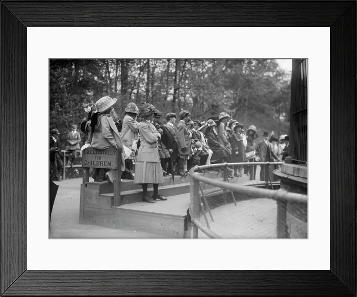 Framed Print : Children at N.Y. Zoo, between c1910 and c1915. Creator: Bain News Service Framed Print : Children at N.Y. Zoo, between c1910 and c1915. Creator: Bain News Service