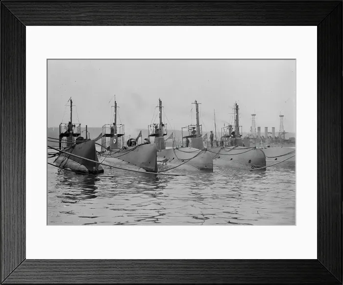 Framed Print : SALEM, GRAYLING, TARPON, OCTOPUS, BONITA, and NEBRASKA, 1911. Creator: Bain News Service Framed Print : SALEM, GRAYLING, TARPON, OCTOPUS, BONITA, and NEBRASKA, 1911. Creator: Bain News Service