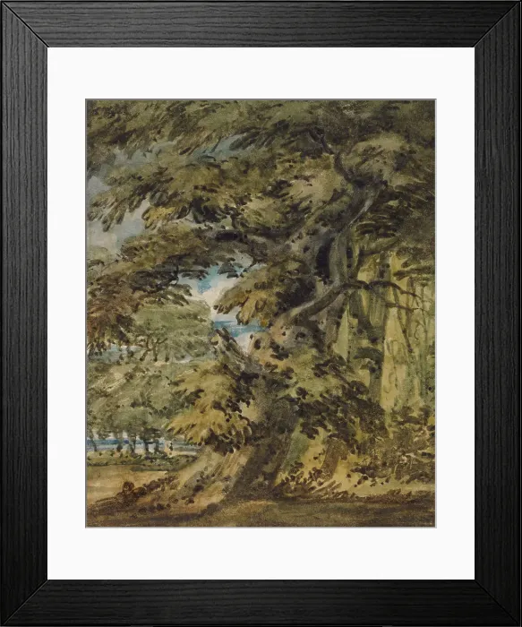 Framed Print : A Wooded Landscape, c1752. Creator: Thomas Girtin Framed Print : A Wooded Landscape, c1752. Creator: Thomas Girtin