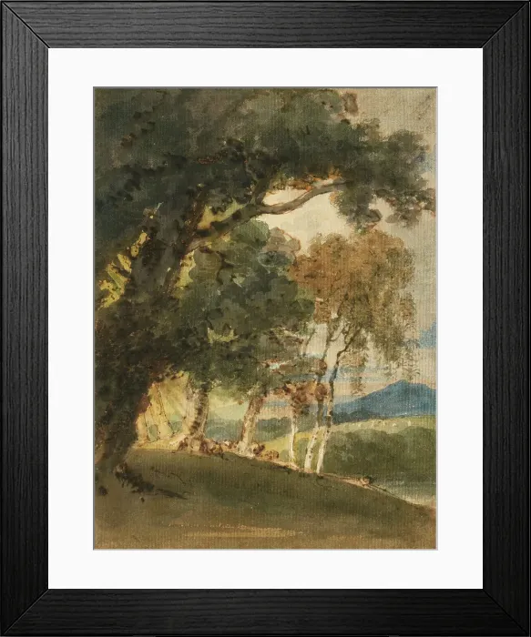 Framed Print : A River Valley And Distant Hill Seen Through Trees, c1800. Creator: Thomas Girtin Framed Print : A River Valley And Distant Hill Seen Through Trees, c1800. Creator: Thomas Girtin