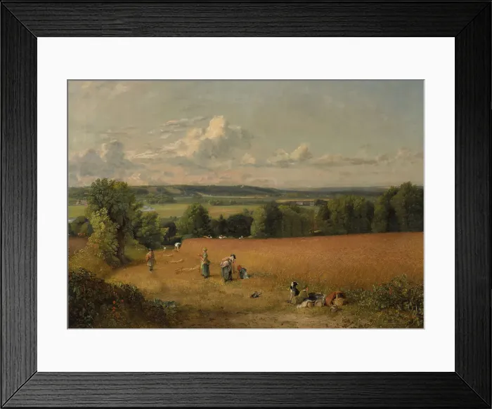 Framed Print : The Wheat Field, 1816. Creator: John Constable Framed Print : The Wheat Field, 1816. Creator: John Constable
