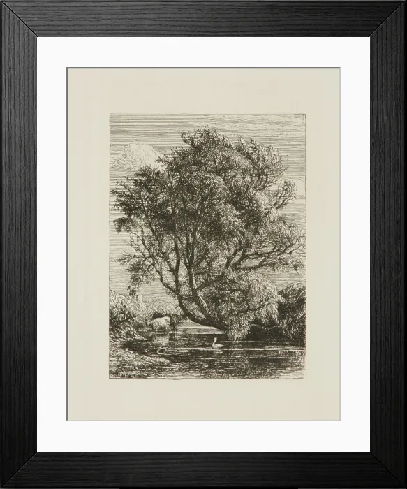 Framed Print : The Willow, 1850. Creator: Samuel Palmer Framed Print : The Willow, 1850. Creator: Samuel Palmer