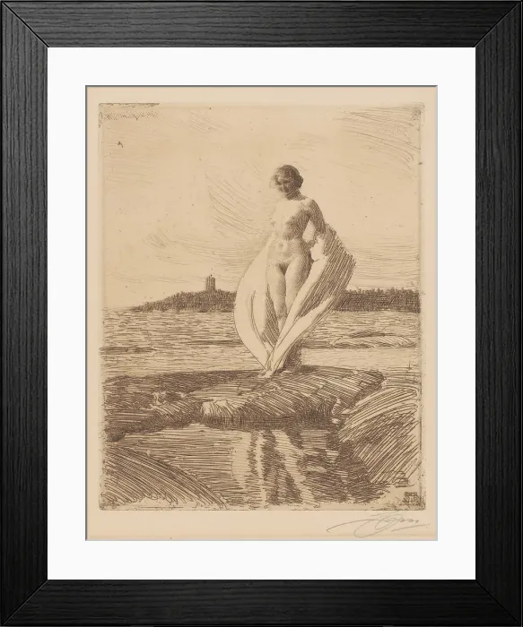 Framed Print : The swan, 1915, Sweden. Creator: Anders Leonard Zorn Framed Print : The swan, 1915, Sweden. Creator: Anders Leonard Zorn