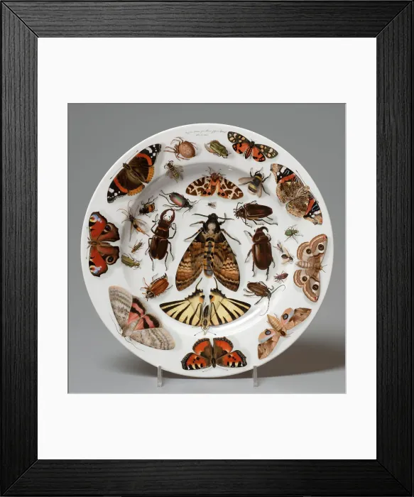 Framed Print : Plate, 1840. Creator: Unknown Framed Print : Plate, 1840. Creator: Unknown