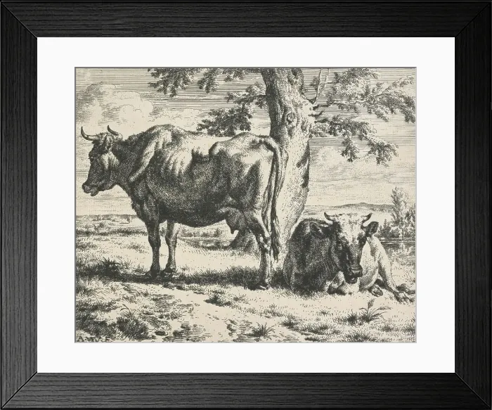 Framed Print : Cows and sheep. Plate 3: Two cows under a tree, 1650-1672. Creator: Adriaen van de Velde Framed Print : Cows and sheep. Plate 3: Two cows under a tree, 1650-1672. Creator: Adriaen van de Velde