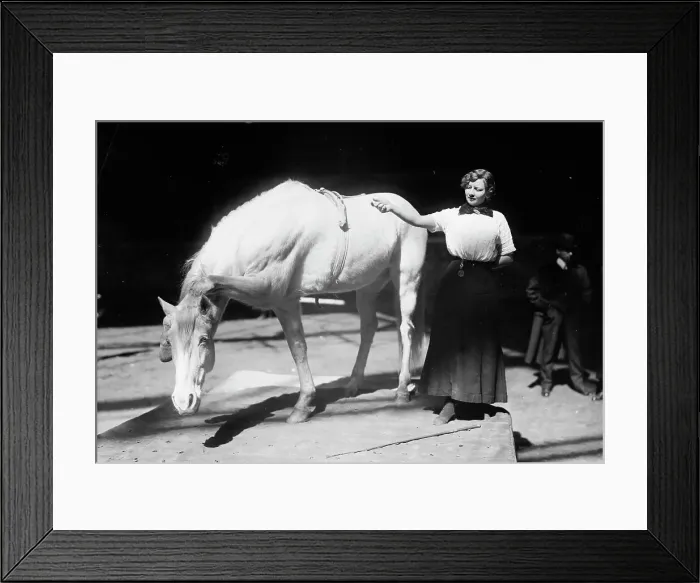 Framed Print : Barnum-Bailey Show - Model Artist Horse Posing, between c1910 and c1915. Creator: Bain News Service Framed Print : Barnum-Bailey Show - Model Artist Horse Posing, between c1910 and c1915. Creator: Bain News Service