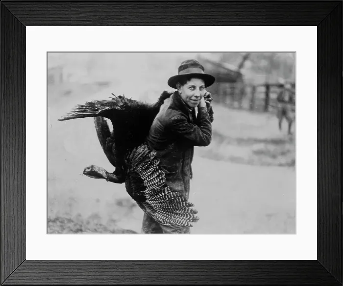 Framed Print : Thanksgiving turkey, between c1910 and c1915. Creator: Bain News Service
