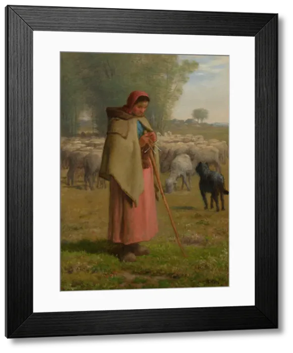 Framed Print : Young Girl Guarding Her Sheep, c1860-62. Creator: Jean Francois Millet Framed Print : Young Girl Guarding Her Sheep, c1860-62. Creator: Jean Francois Millet