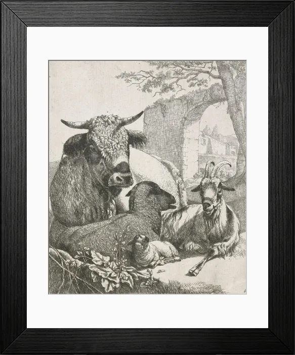 Framed Print : Sheep, goats and cows series: Recumbent bull, 1668-1670. Creator: Johann Heinrich Roos Framed Print : Sheep, goats and cows series: Recumbent bull, 1668-1670. Creator: Johann Heinrich Roos