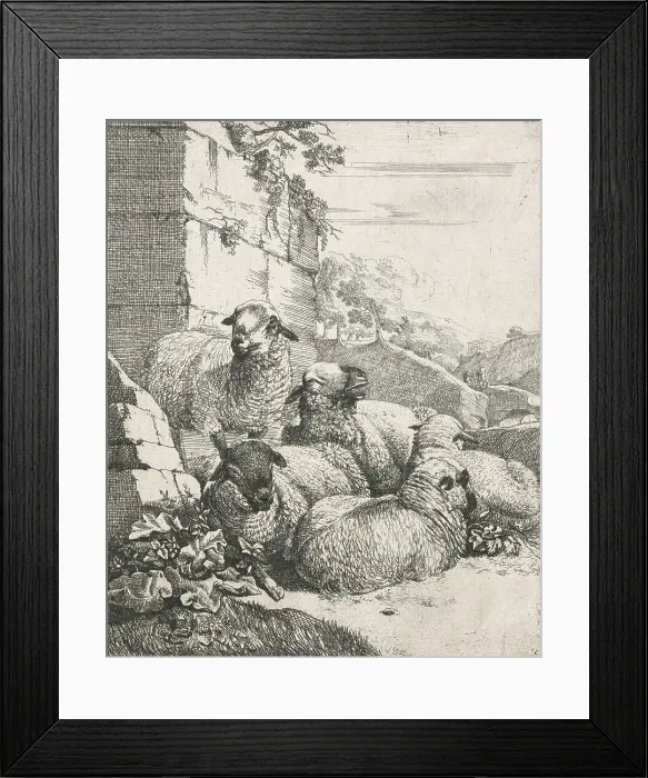 Framed Print : Sheep, goats and cows series: Four resting and one standing sheep, 1668-1670. Creator: Johann Heinrich Roos