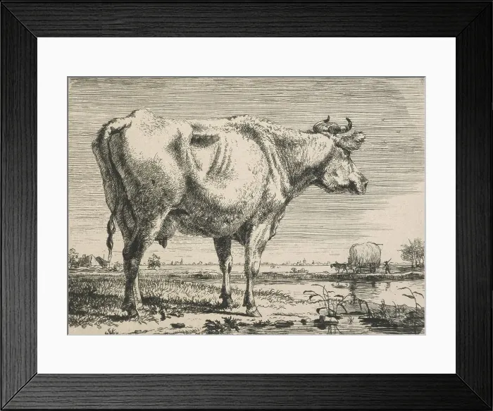Framed Print : No title. (Cattle study.), c.1798. Creator: Pieter Gerardus van Os Framed Print : No title. (Cattle study.), c.1798. Creator: Pieter Gerardus van Os