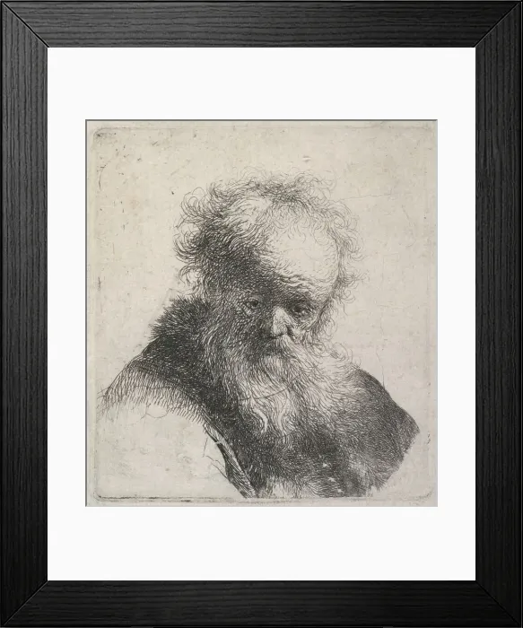 Framed Print : Bust of an old man with flowing beard and white sleeve, c.1630. Creator: Rembrandt Harmensz van Rijn Framed Print : Bust of an old man with flowing beard and white sleeve, c.1630. Creator: Rembrandt Harmensz van Rijn