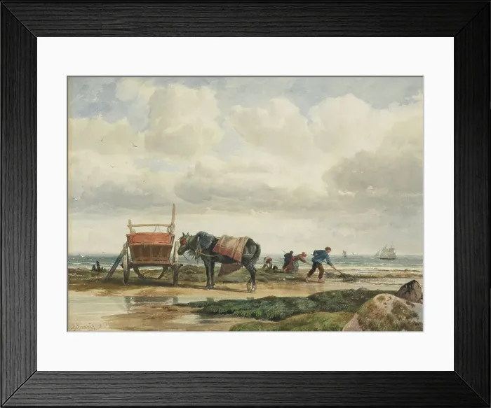 Framed Print : Gathering seaweed, 1860s-1880s. Creator: Richard Beavis Framed Print : Gathering seaweed, 1860s-1880s. Creator: Richard Beavis
