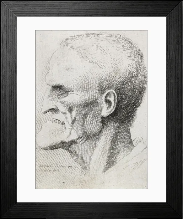 Framed Print : Caricatures and deformities after Leonardo. The old man with gaps between his teeth, c.1645. Creator: Wenceslaus Hollar Framed Print : Caricatures and deformities after Leonardo. The old man with gaps between his teeth, c.1645. Creator: Wenceslaus Hollar