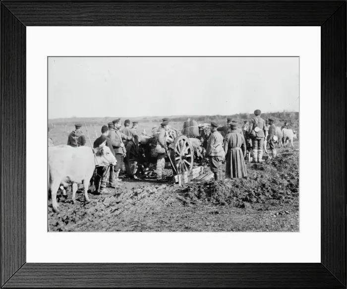 Framed Print : Taking Big Bulgar Guns to Tchataldja #2, between c1910 and c1915. Creator: Bain News Service Framed Print : Taking Big Bulgar Guns to Tchataldja #2, between c1910 and c1915. Creator: Bain News Service