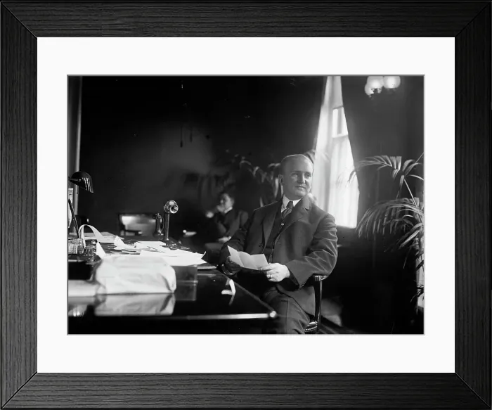 Framed Print : J.P. Tumulty, White House, 1913. Creator: Bain News Service Framed Print : J.P. Tumulty, White House, 1913. Creator: Bain News Service