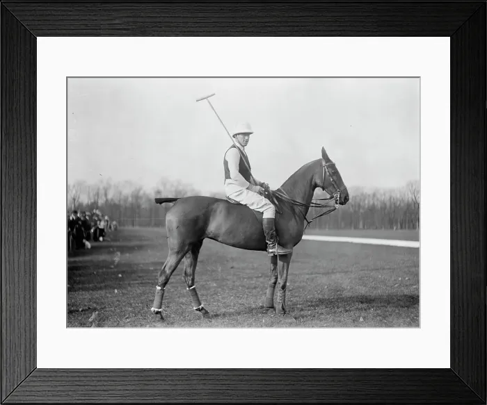 Framed Print : J.C. Phipps, between c1910 and c1915. Creator: Bain News Service Framed Print : J.C. Phipps, between c1910 and c1915. Creator: Bain News Service