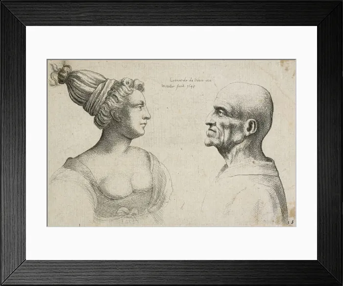 Framed Print : Caricatures and deformities after Leonardo. Two heads, 1645. Creator: Wenceslaus Hollar Framed Print : Caricatures and deformities after Leonardo. Two heads, 1645. Creator: Wenceslaus Hollar