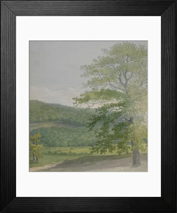 Framed Print : Wooded landscape, 1790s-1820s. Creator: John White Abbott Framed Print : Wooded landscape, 1790s-1820s. Creator: John White Abbott