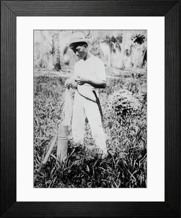 Framed Print : Placing buntal straw in vinegar, between c1915 and c1920. Creator: Bain News Service Framed Print : Placing buntal straw in vinegar, between c1915 and c1920. Creator: Bain News Service